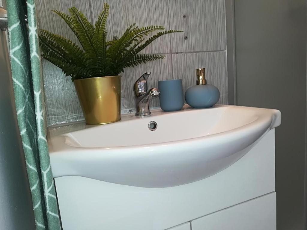 Guesthouse Smart บูคาเรสต์ ภายนอก รูปภาพ