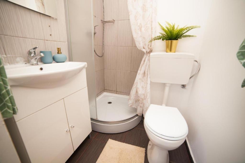 Guesthouse Smart บูคาเรสต์ ภายนอก รูปภาพ